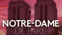 FranceTV Publicité récolte 231 000 euros nets HT de recettes publicitaires au profit de Notre-Dame de Paris