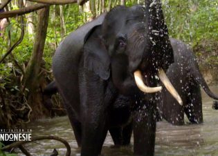 Une saison au zoo